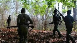 गडचिरोलीत पोलीस नक्षल चकमक, 12 माओवाद्यांना कंठस्नान