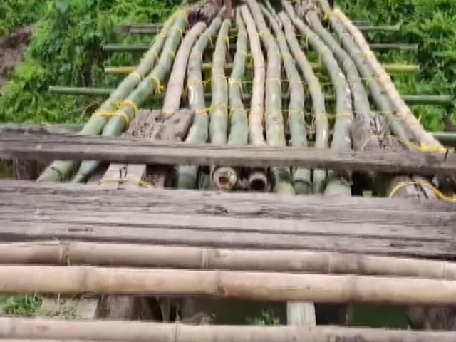 Assam Villagers Build Bamboo Bridge Over River Due To 'Government Inaction'