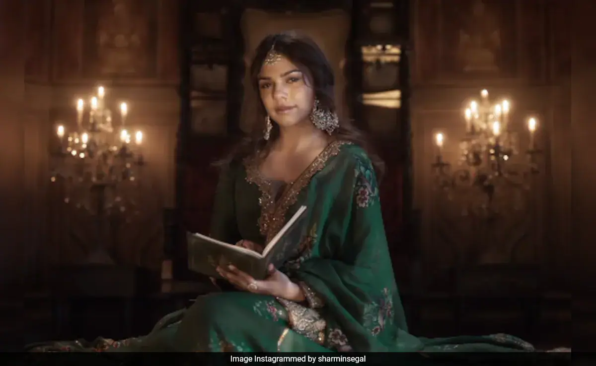 Trolled For <i>Heeramandi</i> Performance, Sharmin Segal Says, "I Gave It My All"