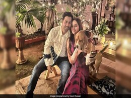 New Parents Varun Dhawan And Natasha Dalal To Move Into Hrithik Roshan's Current Juhu House: Report New Parents Varun Dhawan And Natasha Dalal To Move Into Hrithik Roshan's Current Juhu House: Report