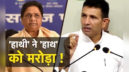 MP में BSP की 'माया' में फंस गई कांग्रेस...जानिए कहां-कहां पहुंचाया नुकसान
