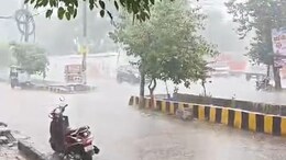 MP Monsoon: बिजली गिरने से हुई 6 लोगों की मौत, जिला पंचायत सीईओ ने कही जरूरी सहायता देने की बात&nbsp;