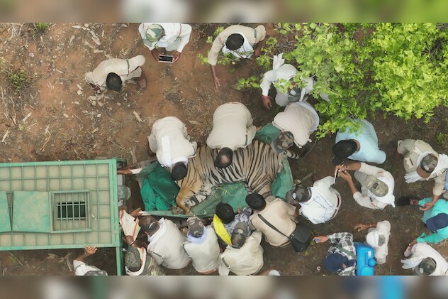 140 लोगों की टीम ने कड़ी मेहनत कर पकड़ा है. 140 लोगों की टीम ने कड़ी मेहनत कर पकड़ा है.