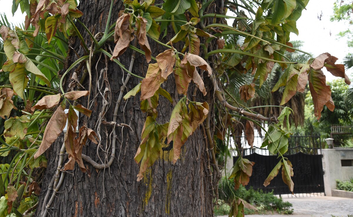 Latest and Breaking News on NDTV Latest and Breaking News on NDTV