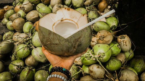 इन ट्रिक्स से करें पता की आपके नारियल में कितना पानी है और कितनी मलाई?