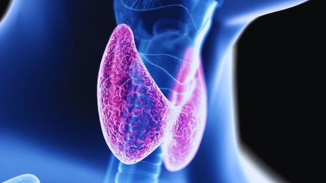 A selenium deficiency can disrupt this crucial process, potentially leading to hypothyroidism