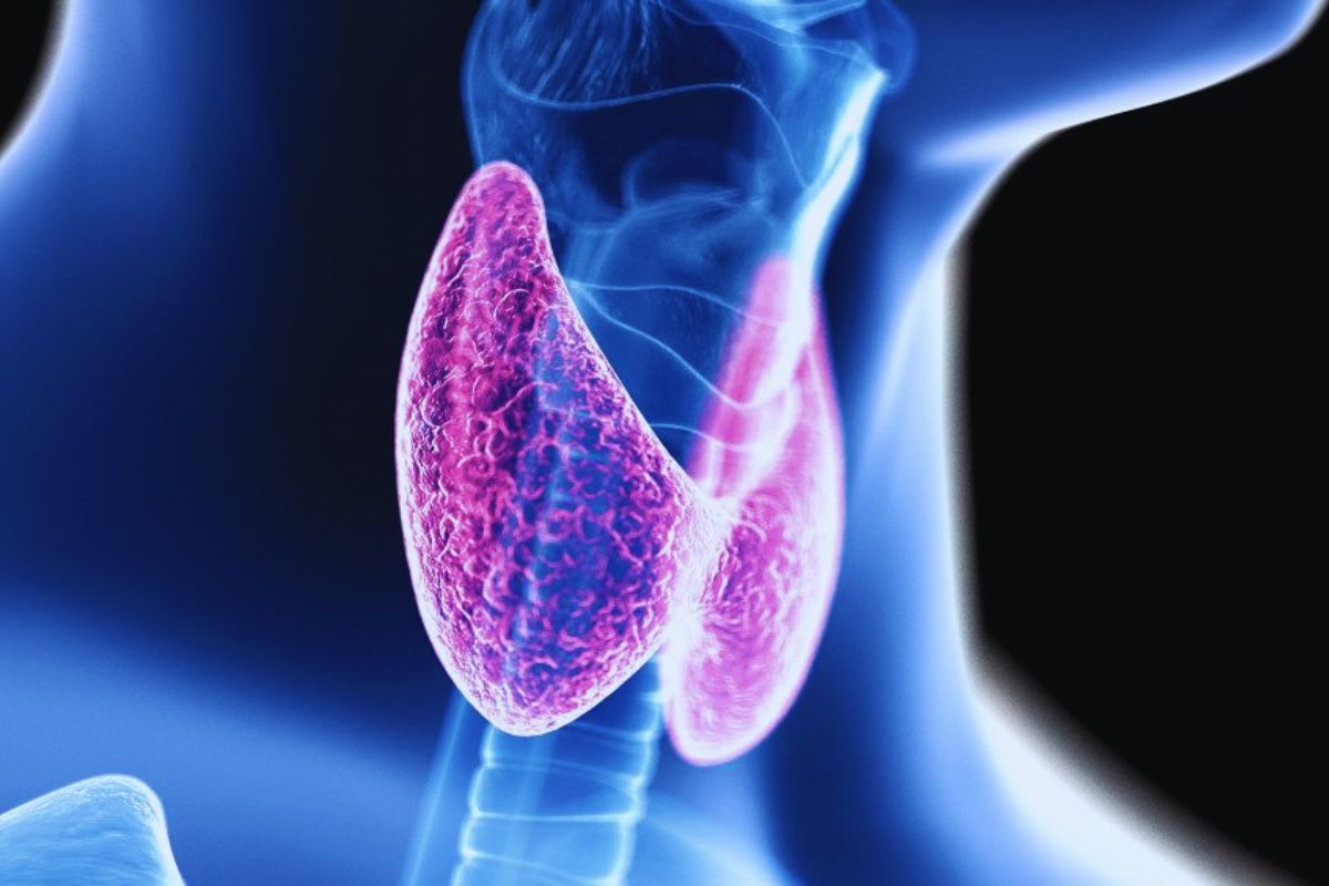 A selenium deficiency can disrupt this crucial process, potentially leading to hypothyroidism