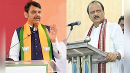 भाजपा-राष्ट्रवादी युतीचं भवितव्य काय? दिल्लीतील बैठकीत झाला निर्णय