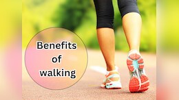 Health News: शरीर के फैट को गलाने के ये तरीका है बेहद आसान, गायब हो जाएगा चुटकियों में मोटापा