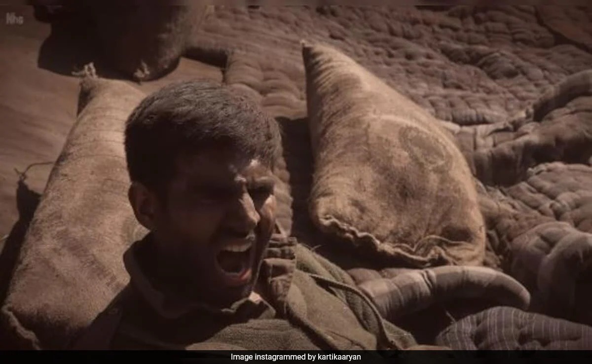 <i>Chandu Champion</i> Box Office Collection Day 5: Kartik Aaryan's Film Slows Down