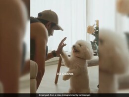 In Kartik Aaryan's New Post With Pet Katori, Will The Real "Champion" Please Stand Up? In Kartik Aaryan's New Post With Pet Katori, Will The Real "Champion" Please Stand Up?