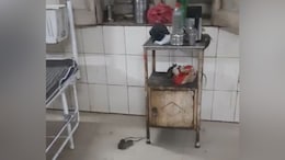 Video: Rats On Rampage In Madhya Pradesh Government Hospital