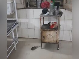 Video: Rats On Rampage In Madhya Pradesh Government Hospital