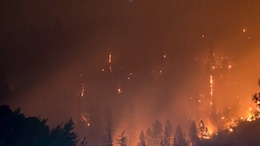 Fireworks From Yacht Spark Forest Fire On Greek Island, 13 Arrested