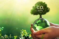 Carbon Footprint: कैसे छोटे-छोटे काम से Environment Preservation में बड़ी मदद कर सकते हैं आप? Carbon Footprint: कैसे छोटे-छोटे काम से Environment Preservation में बड़ी मदद कर सकते हैं आप?