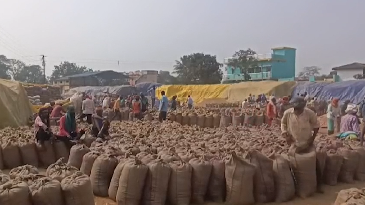 खरीद के बाद सूख गए धान या  हुई बड़ी गड़बड़ी, कौन जिम्मेदार?