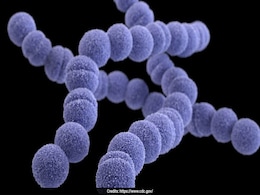 Rare "Flesh-Eating Bacteria" That Can Kill In 2 Days Spreading In Japan Rare "Flesh-Eating Bacteria" That Can Kill In 2 Days Spreading In Japan