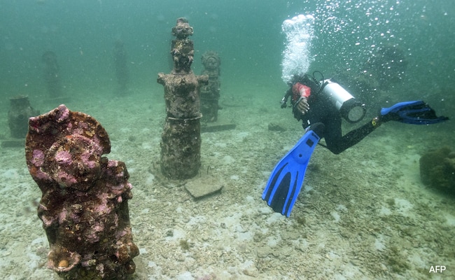 Esta galería de arte submarina protege a los corales de la amenaza del cambio climático