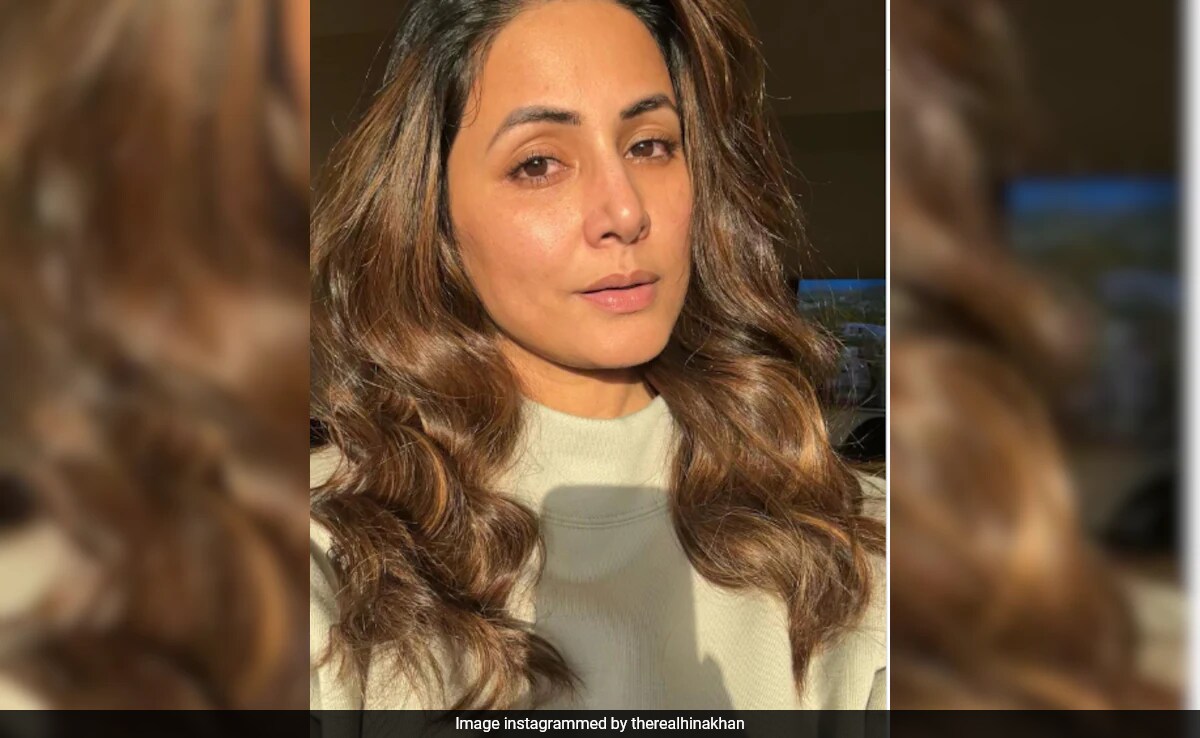 Hina Khan's New Post A Day After Revealing Cancer Diagnosis: "This Too Shall Pass"