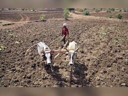 MP News: मृदा स्वास्थ्य कार्ड नहीं मिलने से सही फसलों का नहीं हो पा रहा चयन, जानें क्यों जरूरी हैं ये कार्ड MP News: मृदा स्वास्थ्य कार्ड नहीं मिलने से सही फसलों का नहीं हो पा रहा चयन, जानें क्यों जरूरी हैं ये कार्ड