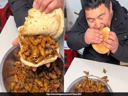 Would You Dare? Chinese Burger Packed With Insects Takes The Internet By Storm Would You Dare? Chinese Burger Packed With Insects Takes The Internet By Storm