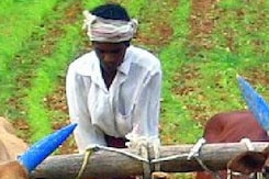 Rajasthan Budget 2024: 5  लाख किसानों को ब्याज मुक्त लोन दिया जाएगा- सीएम भजनलाल शर्मा Rajasthan Budget 2024: 5  लाख किसानों को ब्याज मुक्त लोन दिया जाएगा- सीएम भजनलाल शर्मा