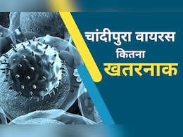 गुजरात में चांदीपुरा वायरस का कहर, 5 दिन में 6 बच्चों की मौत, जानें ये कितना खतरनाक गुजरात में चांदीपुरा वायरस का कहर, 5 दिन में 6 बच्चों की मौत, जानें ये कितना खतरनाक