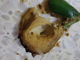 Man Claims He Found Sharp Object In Zomato Order, Criticises Customer Care's Response