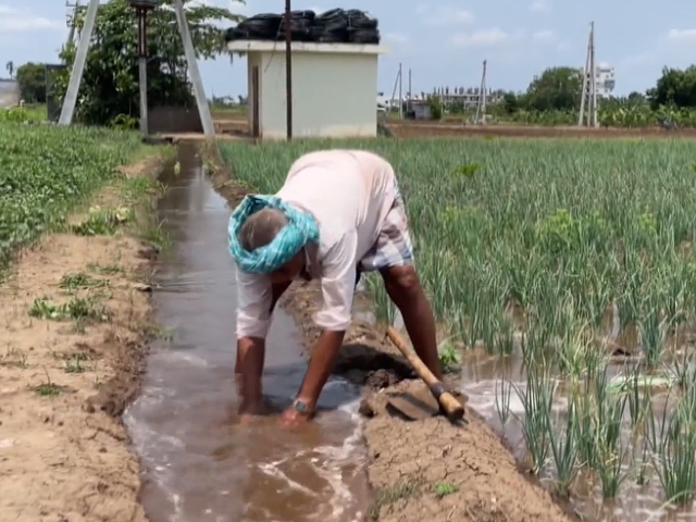 Amravati Farmers Demand Subsidies In Union Budget 2024