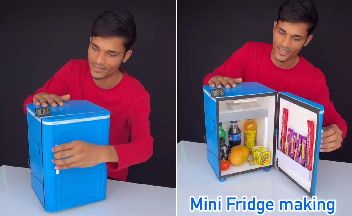Watch: Vlogger Makes Mini Fridge From Scratch At Home, Internet Says, "India Not For Beginners"