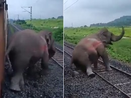 तेज रफ्तार एक्सप्रेस ट्रेन की चपेट में आया हाथी, लड़खड़ाते हुए पटरी पर गिरा, वीडियो देख इमोशनल हुए लोग