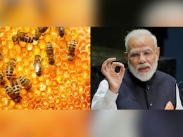 लाखों की नौकरी छोड़ी 3 भाइयों ने शुरू की मोती और शहद की खेती, PM मोदी भी हुए मुरीद लाखों की नौकरी छोड़ी 3 भाइयों ने शुरू की मोती और शहद की खेती, PM मोदी भी हुए मुरीद
