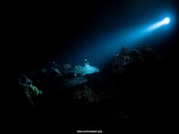 Unexpected Oxygen Source Found 4,000 Metres Below Pacific Ocean Surface Unexpected Oxygen Source Found 4,000 Metres Below Pacific Ocean Surface