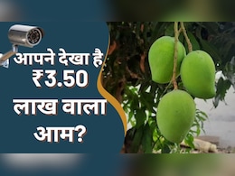 UP के किसान के बगीचे में ₹3.50 लाख/KG वाले आम? बेचना नहीं, राष्ट्रपति, PM और CM को चाहता है खिलाना UP के किसान के बगीचे में ₹3.50 लाख/KG वाले आम? बेचना नहीं, राष्ट्रपति, PM और CM को चाहता है खिलाना