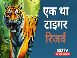 PM Modi को सतना महापौर ने लिखा पत्र, प्रस्ताव तक सिमट कर रह गया सरभंगा टाइगर रिजर्व PM Modi को सतना महापौर ने लिखा पत्र, प्रस्ताव तक सिमट कर रह गया सरभंगा टाइगर रिजर्व