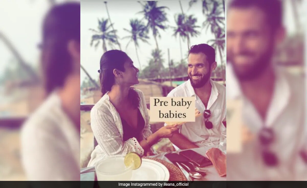 Mush Alert: Ileana D'Cruz Shares Pic With Husband Michael Dolan