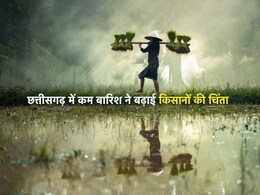 बारिश ने बढ़ाई किसानों की चिंता... छत्तीसगढ़ के 20 जिलों में औसत से कम गिरा पानी, जानें कब तेज बरसेगा बदरा?