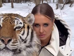 बाघ को Kiss करते हुए फोटो खिंचवा रही थी महिला, अचानक Tiger को आ गया गुस्सा और फिर जो हुआ... बाघ को Kiss करते हुए फोटो खिंचवा रही थी महिला, अचानक Tiger को आ गया गुस्सा और फिर जो हुआ...