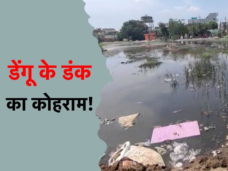 ग्वालियर में डेंगू का विस्फोट! 128 मरीज पॉजिटिव... गड्ढे में जमे पानी से लोग पड़ रहे बीमार, स्वास्थ्य विभाग का अलर्ट जारी