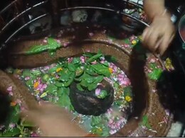 Sawan 2024: सावन के पहले सोमवार 'बम- बम भोले' की गूंज, महादेव मंदिर से लेकर महाकालेश्वर में उमड़ी भक्तों की भीड़