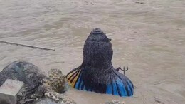 100 Roads Blocked, Rivers Cross Danger Mark In Uttarakhand After Heavy Rain