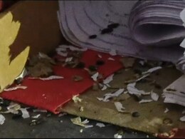 चूहों के आतंक से MP का ये जिला परेशान, रातों-रात कुतर डाला 'दफ्तर'