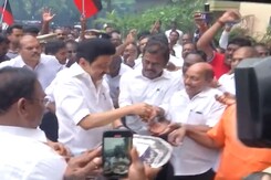 MK Stalin Shares Sweets After DMK Candidate Wins By-Election MK Stalin Shares Sweets After DMK Candidate Wins By-Election