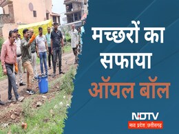 Monsoon Diseases: डेंगू-मलेरिया पर नियंत्रण के लिए ऑयल बॉल को बना रहे हैं हथियार, बीमारियों से होगी रोकथाम Monsoon Diseases: डेंगू-मलेरिया पर नियंत्रण के लिए ऑयल बॉल को बना रहे हैं हथियार, बीमारियों से होगी रोकथाम