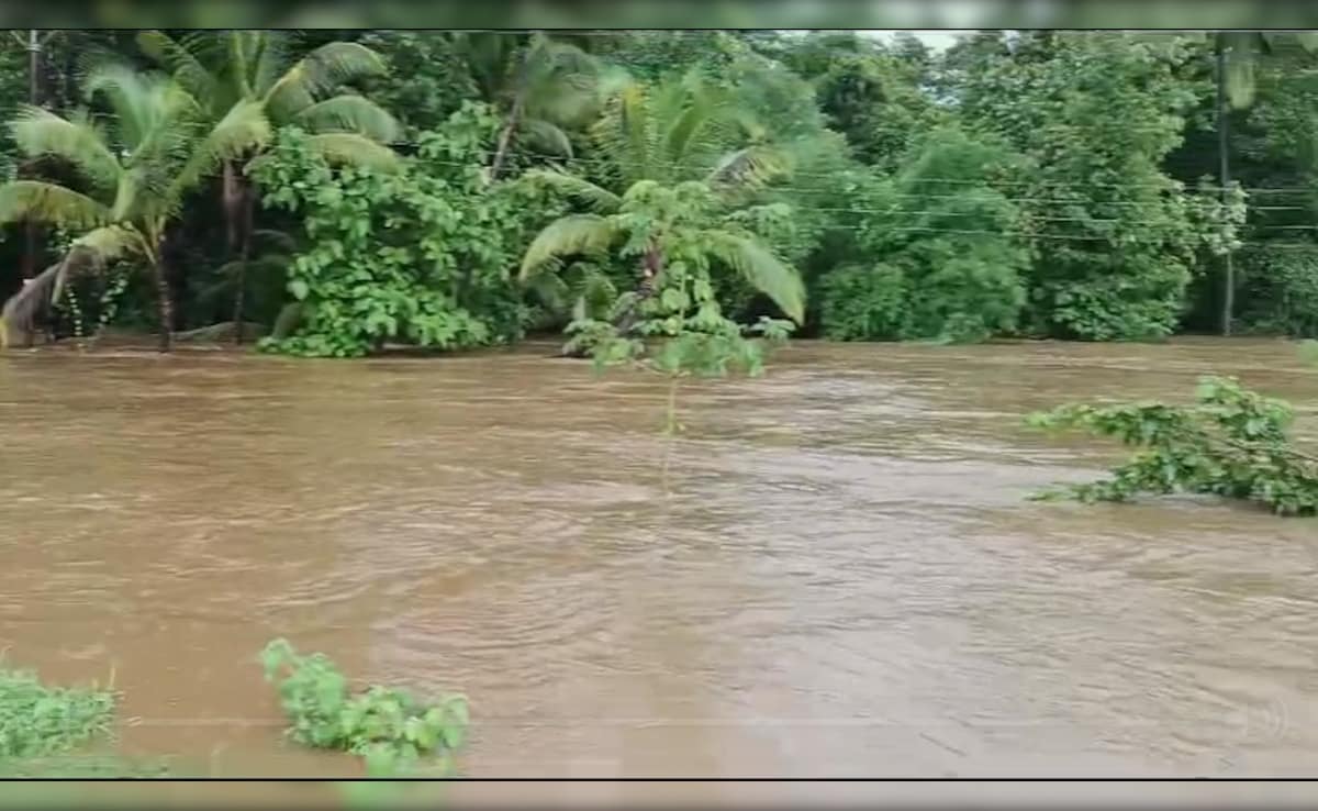 Latest and Breaking News on NDTV