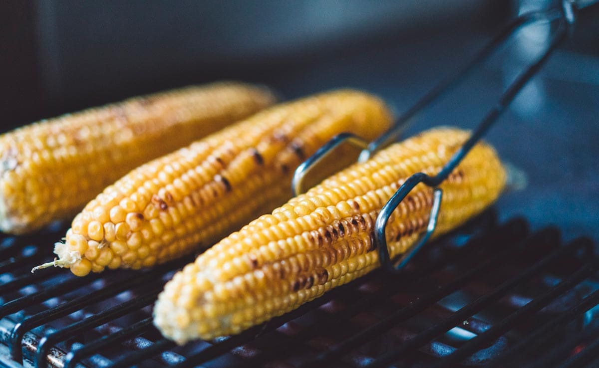 भुट्टे के चमकदार दाने बन सकते हैं पेट के लिए खतरा! खरीदते समय इन बातों का रखें ध्यान