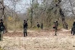 नारायणपुर में सुरक्षाबलों को बड़ी कामयाबी, मुठभेड़ में 5 नक्सली ढेर नारायणपुर में सुरक्षाबलों को बड़ी कामयाबी, मुठभेड़ में 5 नक्सली ढेर