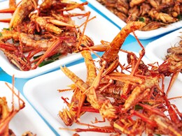 इन 6 कीड़ों को खा भी सकते हैं आप, नुकसान नहीं सेहत को फायदा पहुंचाते हैं , जानें इनके नाम