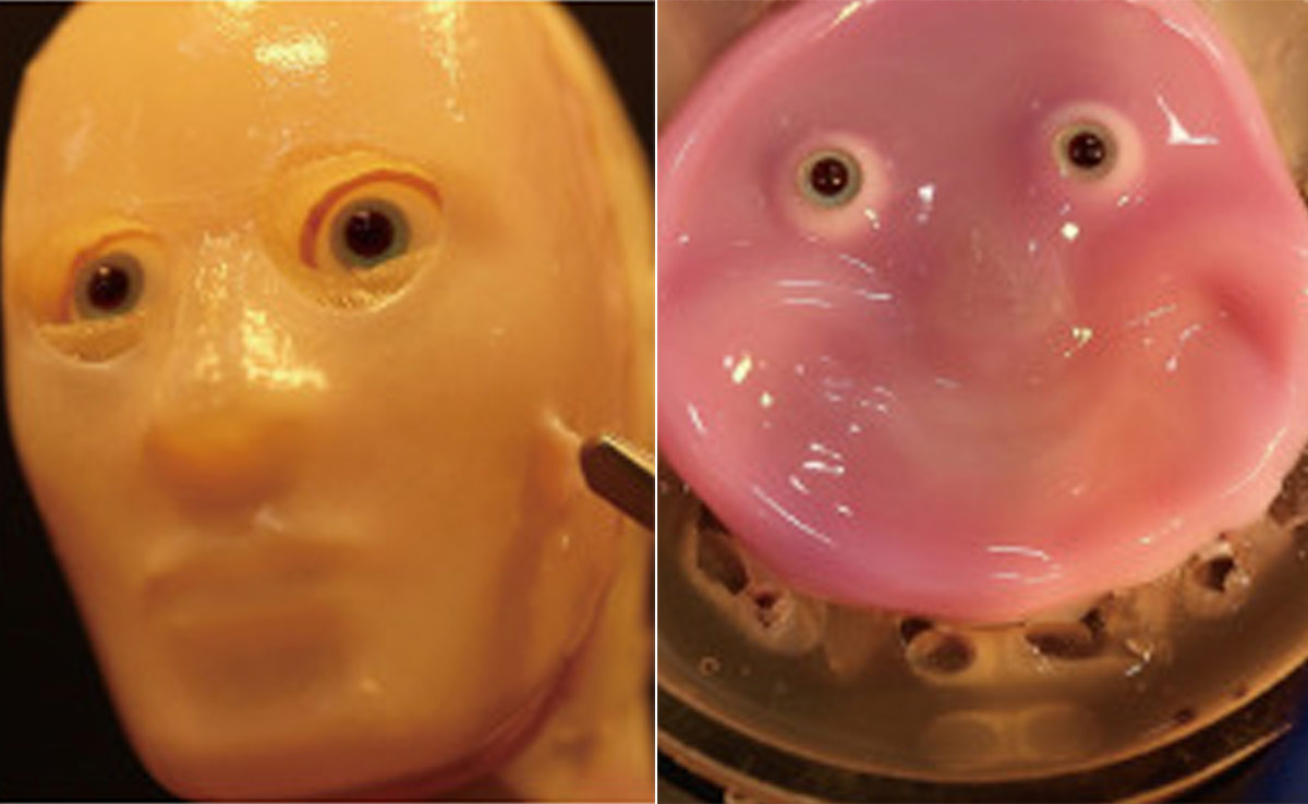 Japanese Scientists Use Collagen To Make Smiling Robots With "Living Skin"