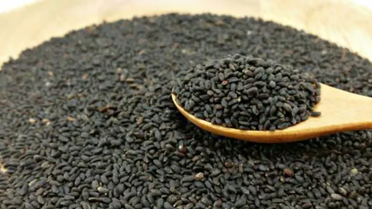 Sikar: Netherland की कंपनी ने Sikar के Farmers को बेचा 1 Cr रुपये का घटिया का बीज, किसानों को भारी  नुक्सान